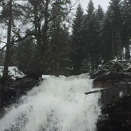 Voss - Flott I Bavallen Skulestadmo
