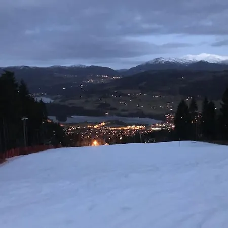 Voss - Flott I Bavallen * Skulestadmo