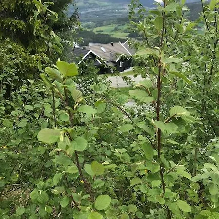 度假居 Voss - Flott I Bavallen 斯屈勒斯塔穆