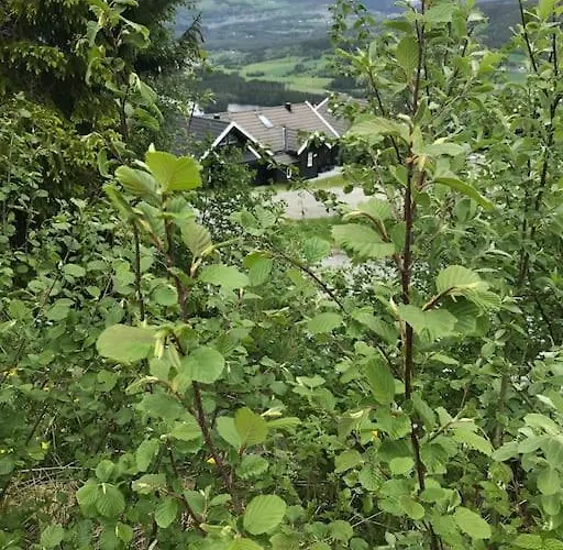 Casa de Férias Voss - Flott I Bavallen Skulestadmo