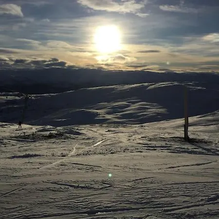 Voss - Flott I Bavallen *